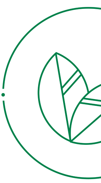eco growth sustentabilidade